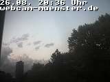 Webcam M�nster - aktuelles Bild