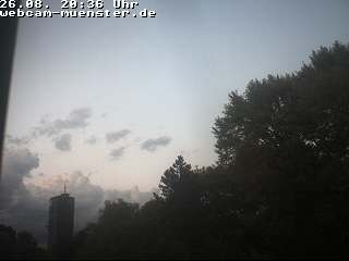 Webcambild aus M&uuml;nster